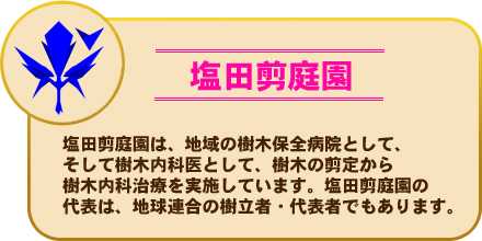 塩田剪庭園は、地域の樹木保全病院として、そして樹木内科医として、樹木の剪定から樹木内科治療を実施しています。塩田剪庭園の代表は、地球連合の樹立者・代表者でもあります。