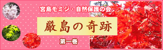 厳島の奇跡 第1巻