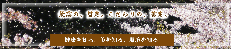 最高の、剪定。こだわりの、剪定。健康を知る。美を知る。環境を知る。