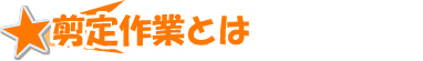 剪定作業とは