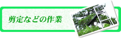 剪定などの作業