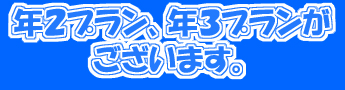 年2プラン、年3プランがございます!