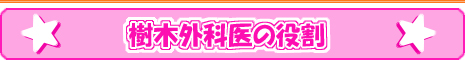 樹木外科医の役割