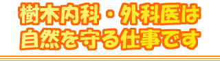 樹木内科・外科医は自然を守る仕事です。