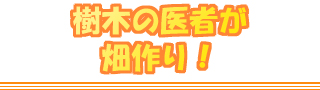 樹木の医者が畑作り!