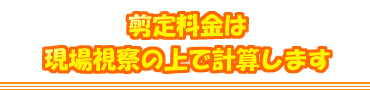 剪定料金は現場視察の上で計算します