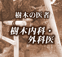 樹木の医者　樹木内科・外科医